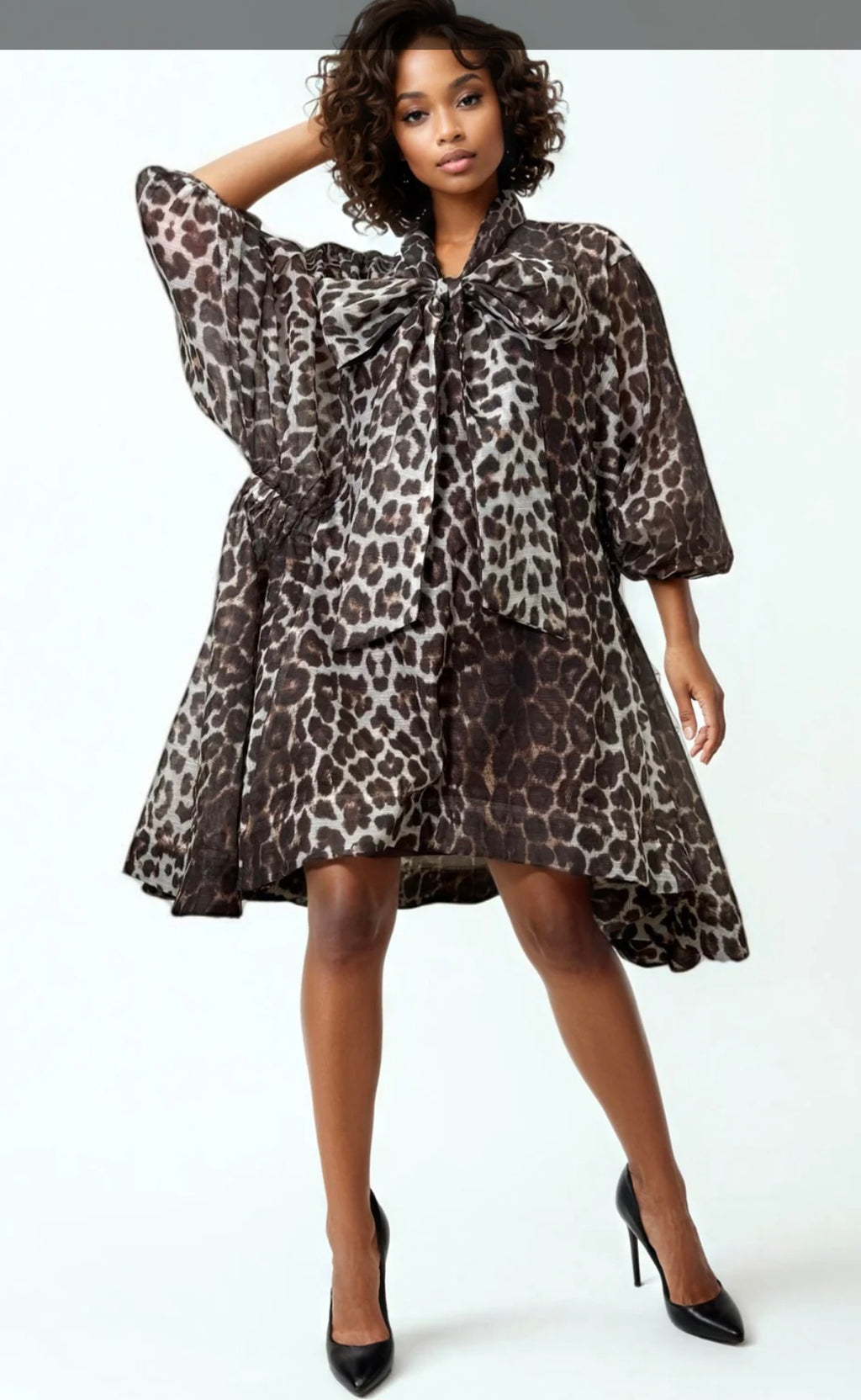Jenny Flare Dress